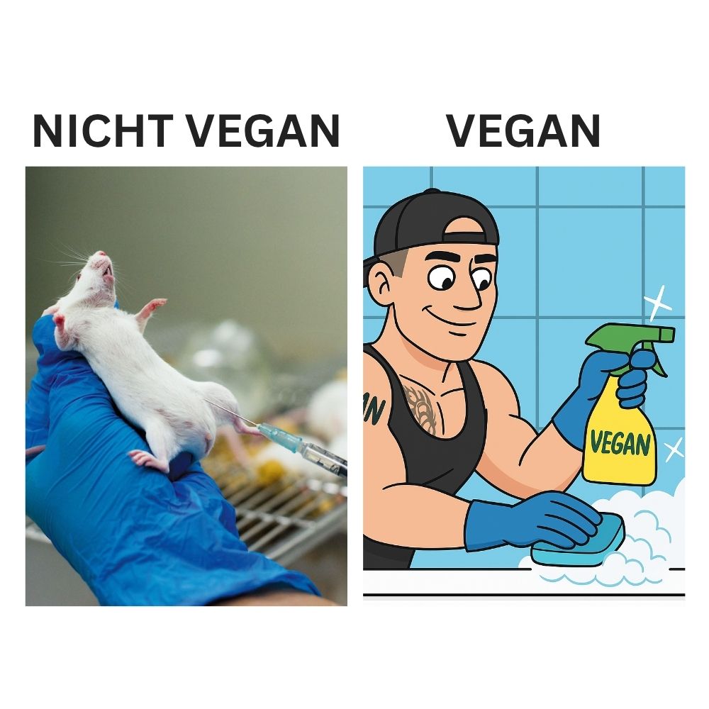 Vegane Putzmittel vegane Reinigungsmittel