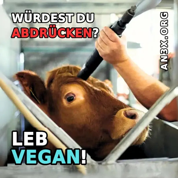 WÜRDEST DU ABDRÜCKEN? STICKER NVSINO