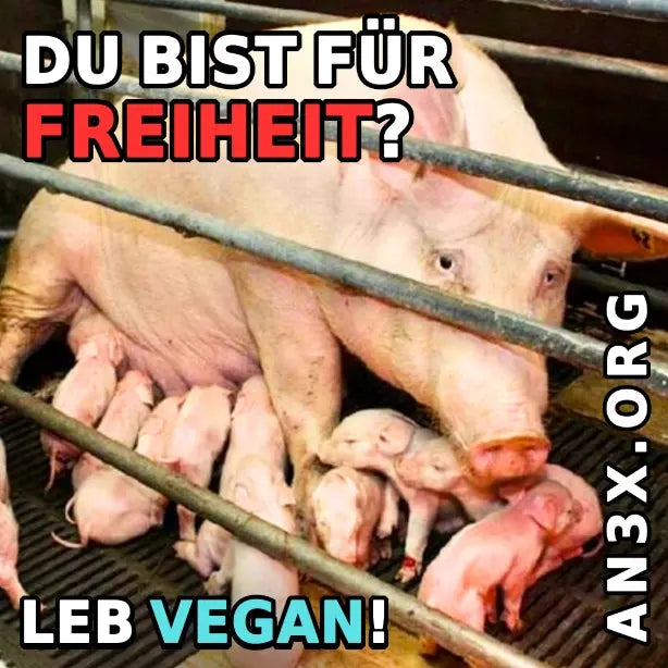 BIST DU FÜR FREIHEIT? STICKER NVSINO