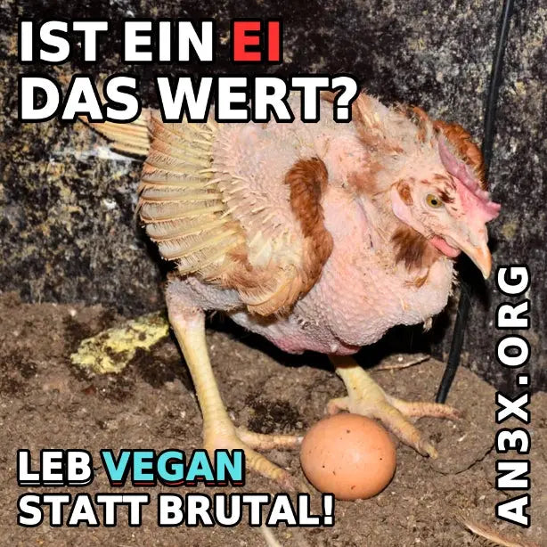 IST DAS EIN EI WERT? STICKER NVSINO