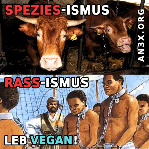 SPEZIESISMUS IST RASSISMUS STICKER NVSINO