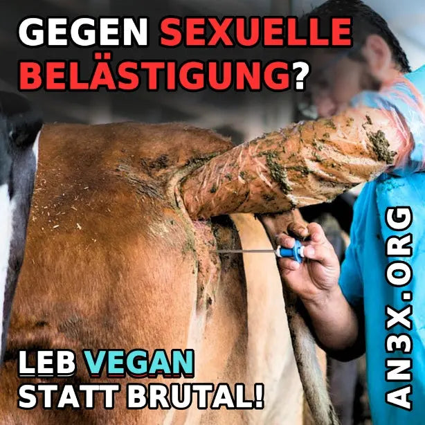 GEGEN SEXUELLE BELÄSTIGUNG STICKER NVSINO