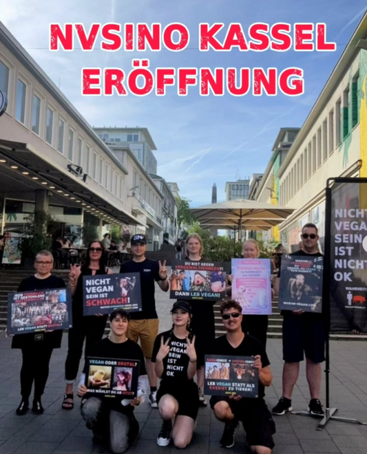 Eroeffnung der NVSINO-Ortsgruppe Kassel mit Aktivisten und Schildern in der Fussgaengerzone