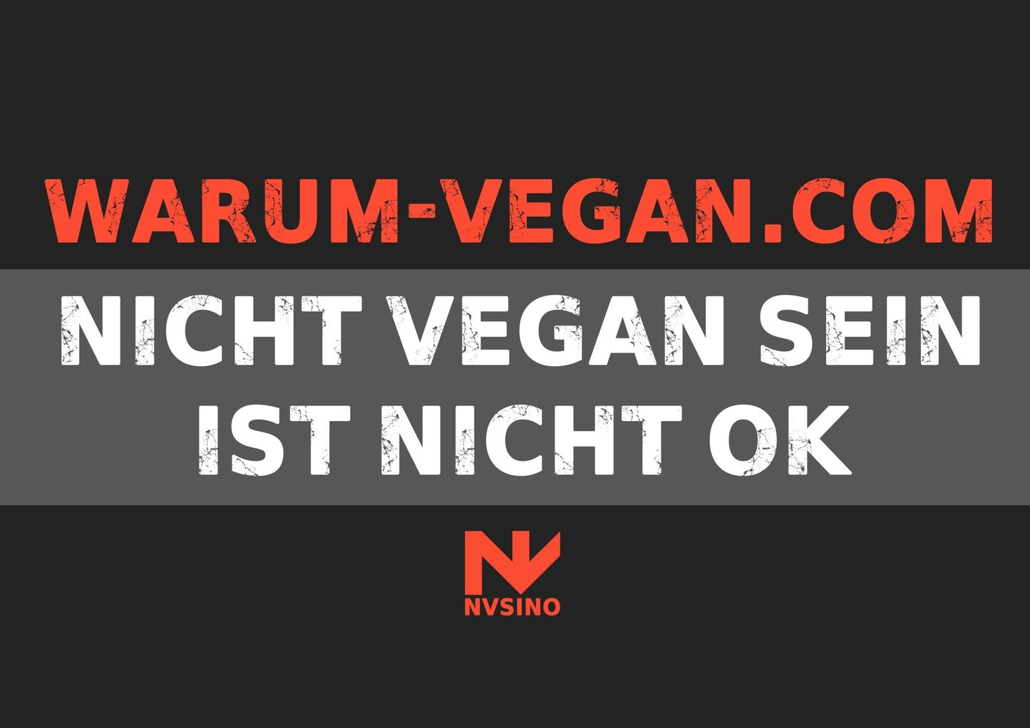 NVSINO Aktivismus Mappe NVSINO