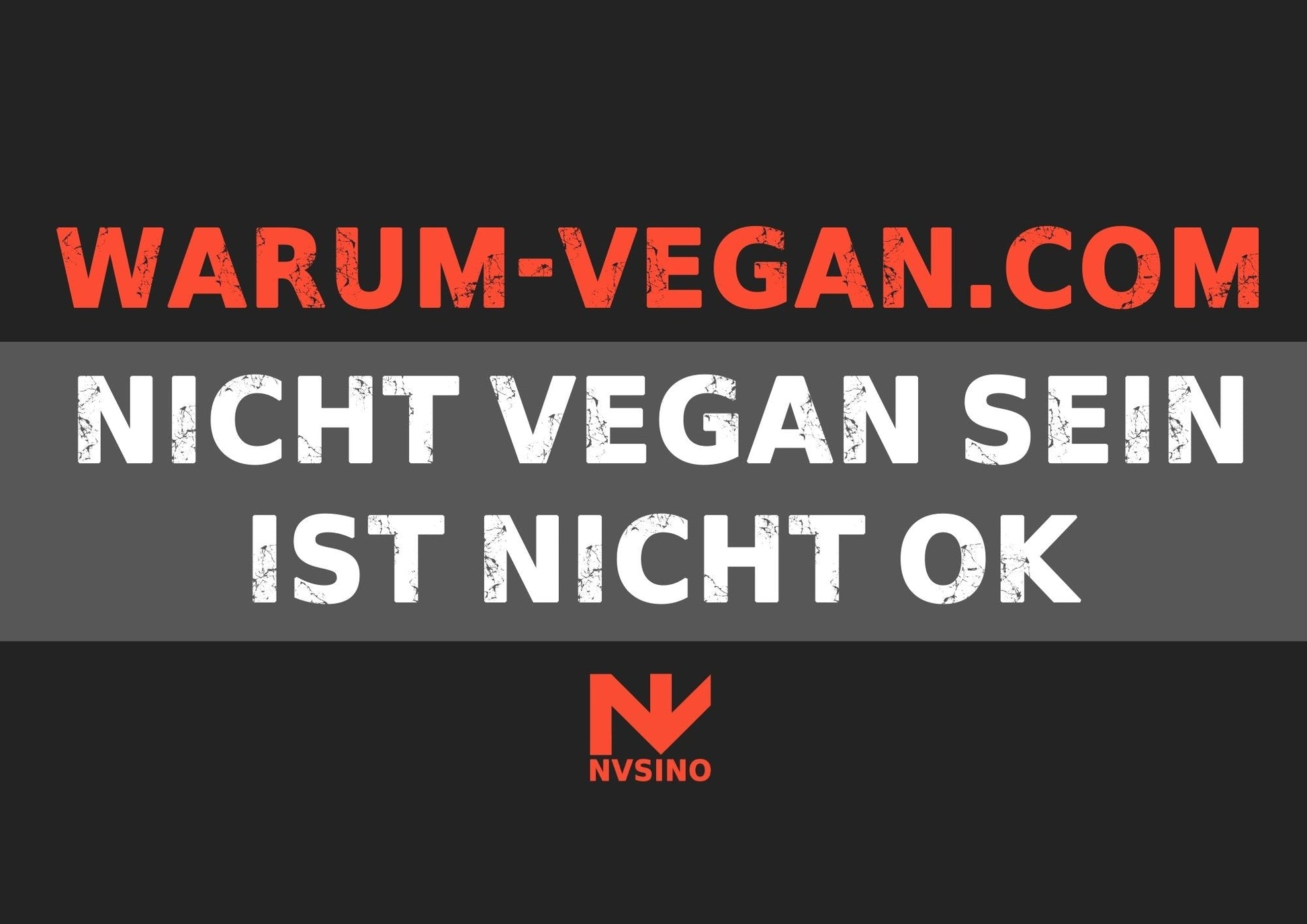 NVSINO Aktivismus Mappe NVSINO