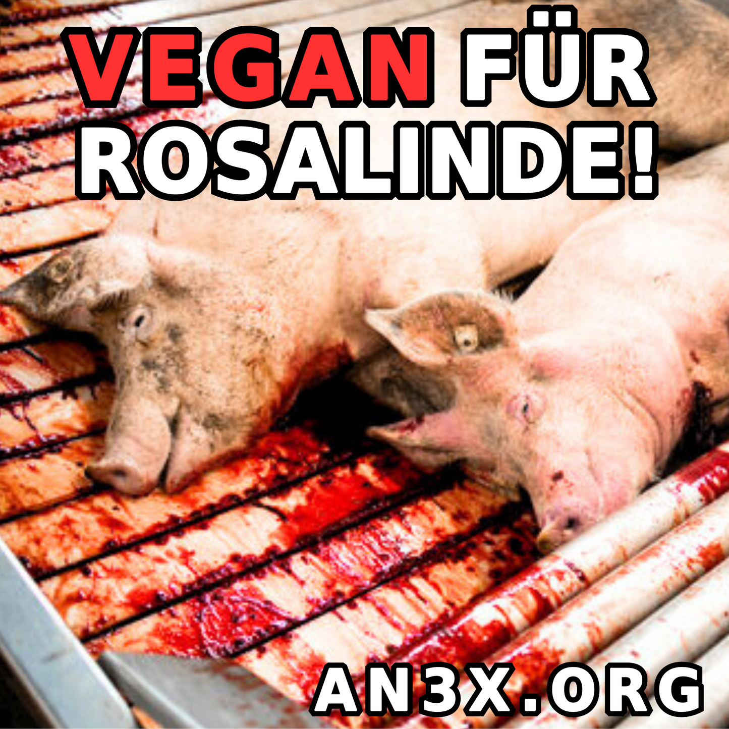 VEGAN FÜR ROSALINDE STICKER