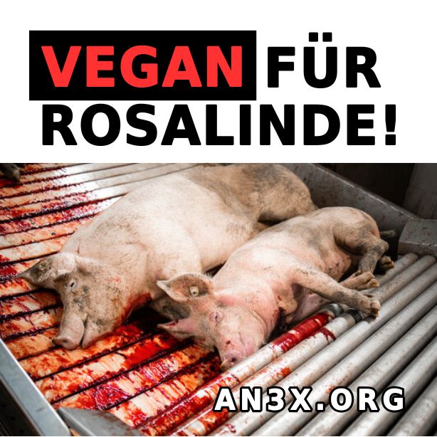 VEGAN FÜR ROSALINDE V2 | Vegane STICKER NVSINO