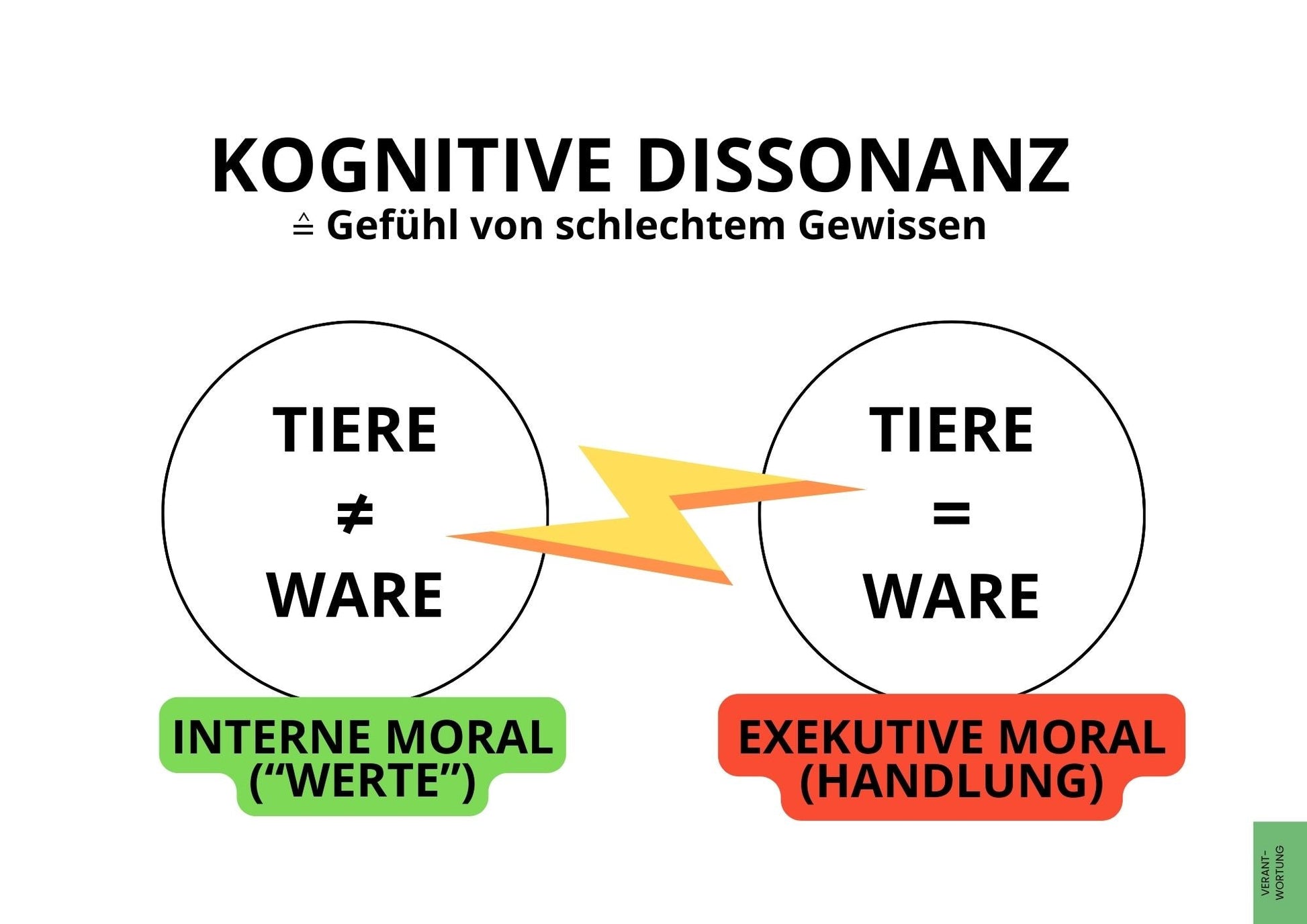 NVSINO Aktivismus Mappe NVSINO