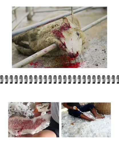 NVSINO Aktivismus Mappe NVSINO