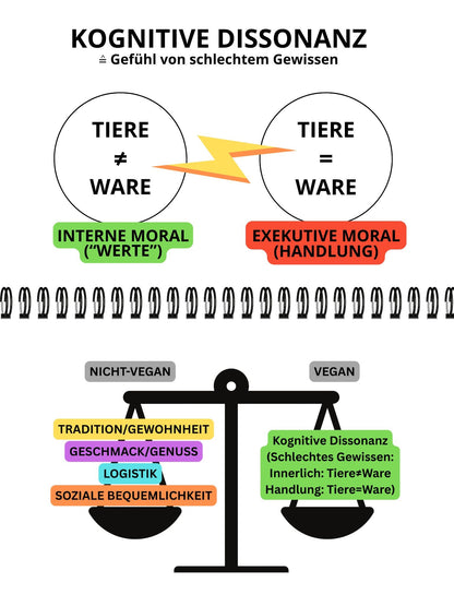 NVSINO Aktivismus Mappe NVSINO
