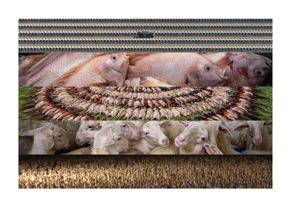 DIE MAPPE | Vegane Erklärmappe | Material für Aktivisten NVSINO