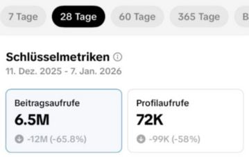 Die_Militante_Veganerin_Insights_TikTok