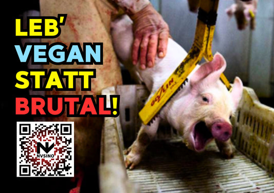 VEGAN ODER BRUTAL? STICKER V2 | Vegane Sticker NVSINO