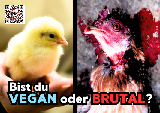 VEGAN ODER BRUTAL? V2 STICKER | Vegane Sticker NVSINO