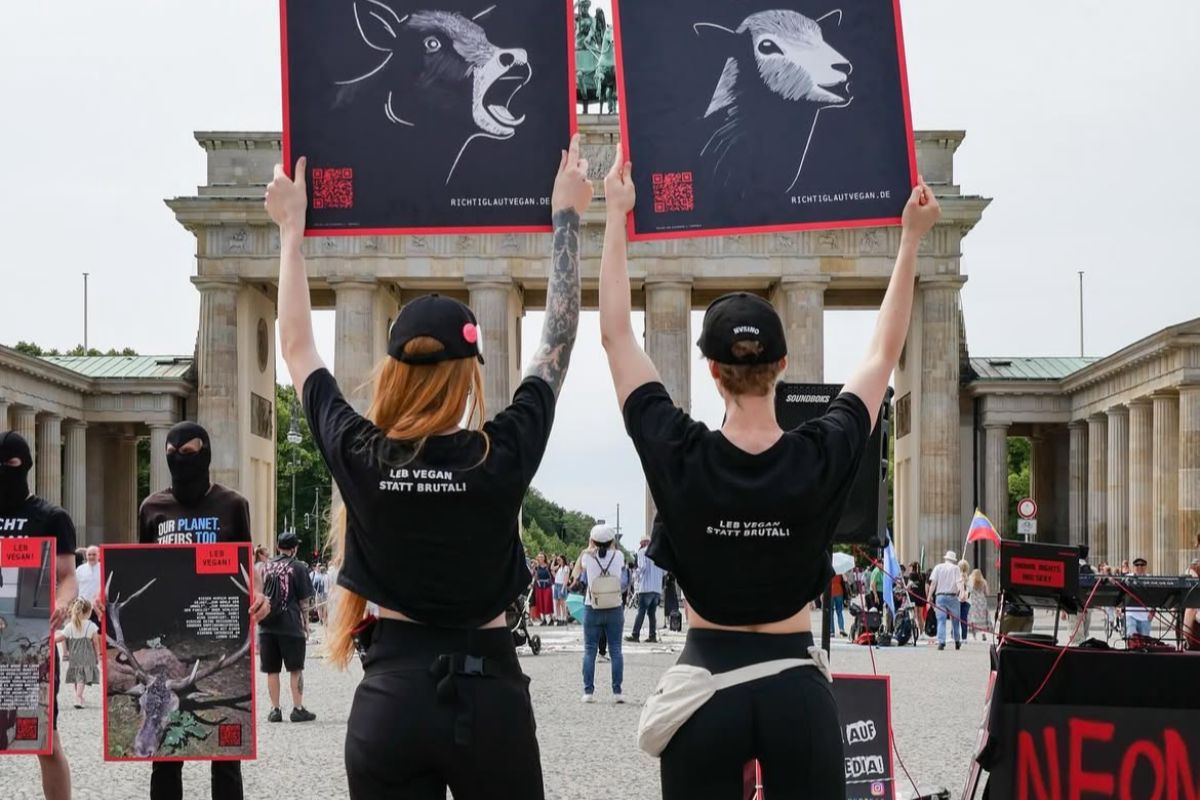 Protestaktion für vegane Lebensweise in der Innenstadt