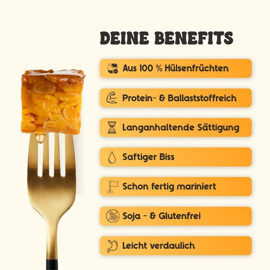 Bio Tempeh Wild Gaucho fourTaste GmbH