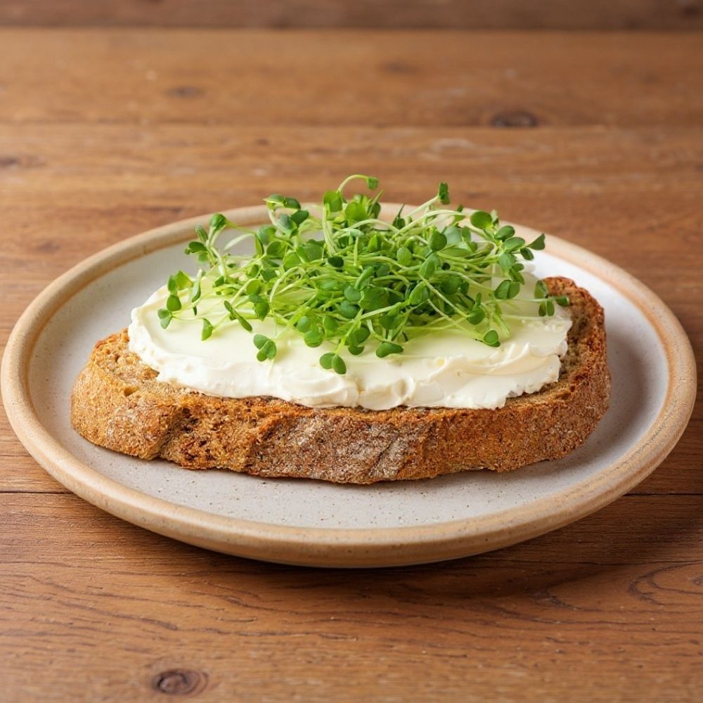 Veganer_Frischkaese_vegan