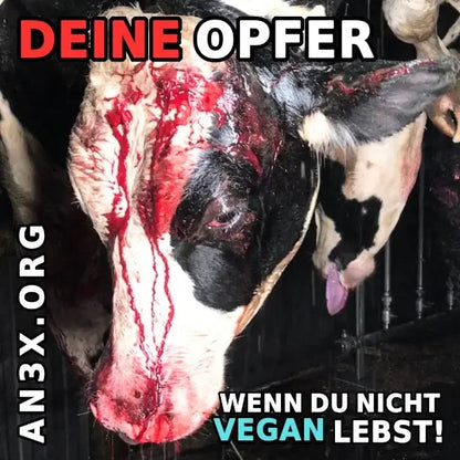 Aktivismus Starter-Kit NVSINO