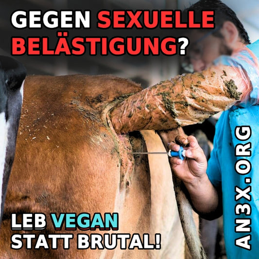 GEGEN SEXUELLE BELÄSTIGUNG STICKER