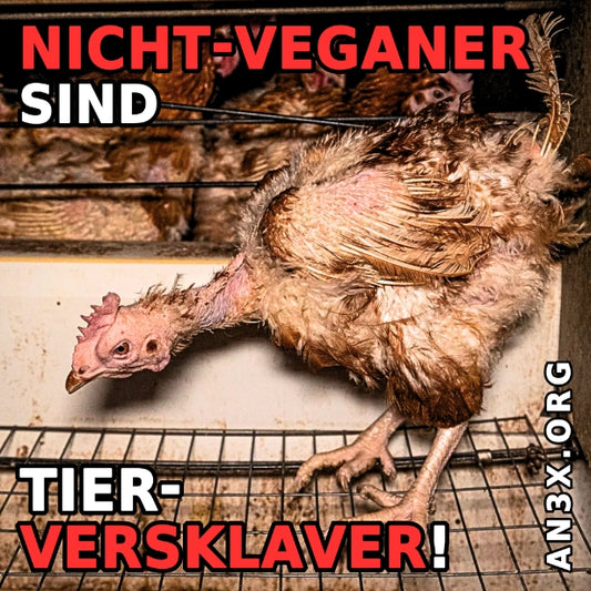 NICHT-VEGANER SIND TIERVERSKLAVER STICKER