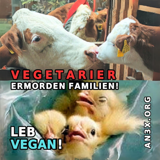 VEGETARIER ERMORDEN FAMILIEN STICKER