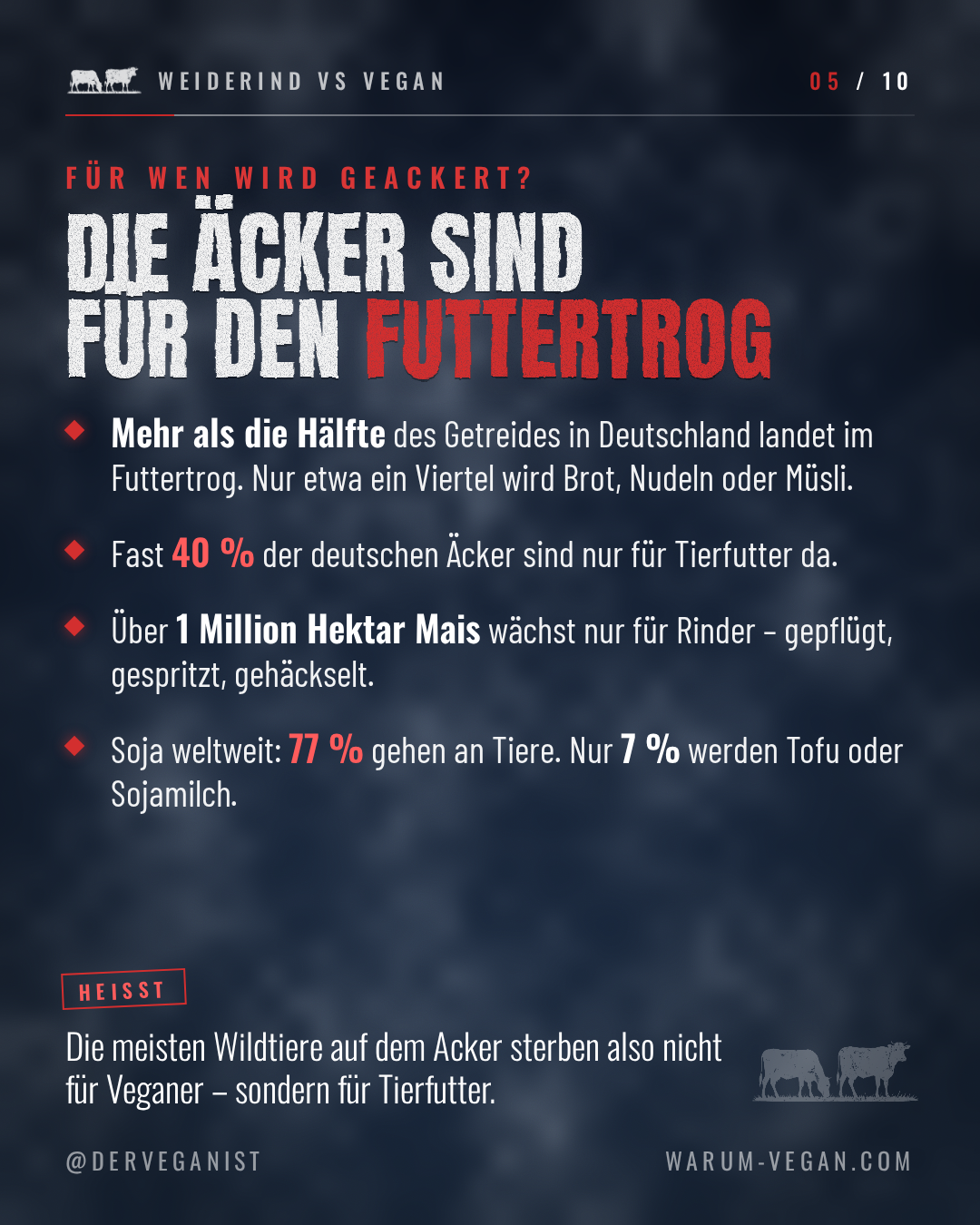 Slide 5 von 10: Für wen geackert wird — mehr als die Hälfte des deutschen Getreides landet im Futtertrog, weltweit gehen 77 Prozent der Sojaernte an Tiere