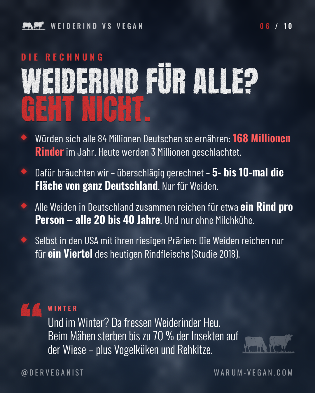 Slide 6 von 10: Die Rechnung — für alle Deutschen bräuchte es 168 Millionen Rinder und die 5- bis 10-fache Fläche Deutschlands, nur für Weiden